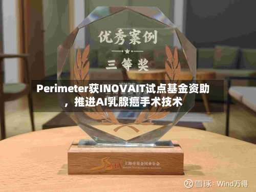 Perimeter获INOVAIT试点基金资助,推进AI乳腺癌手术技术