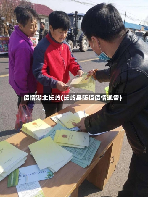 疫情湖北长岭(长岭县防控疫情通告)