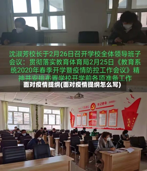 面对疫情提纲(面对疫情提纲怎么写)