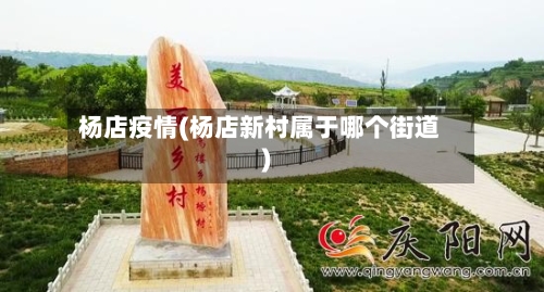 杨店疫情(杨店新村属于哪个街道)