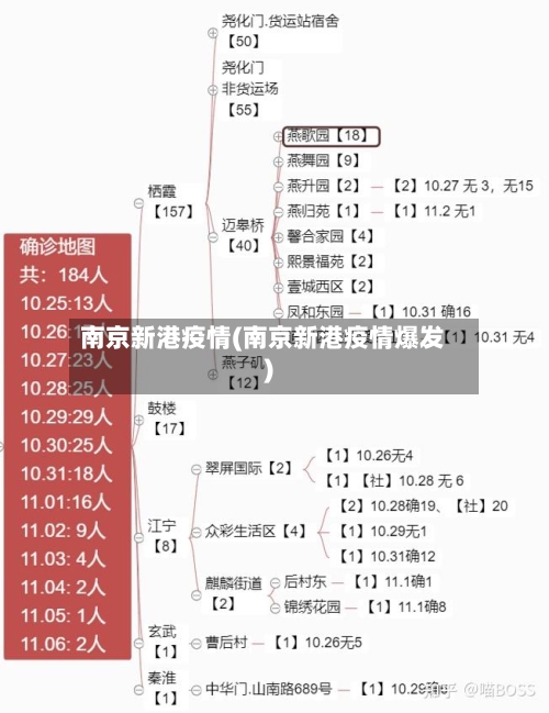 南京新港疫情(南京新港疫情爆发)