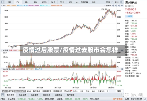 疫情过后股票/疫情过去股市会怎样