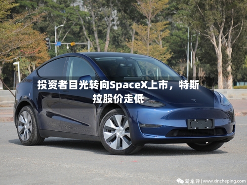 投资者目光转向SpaceX上市，特斯拉股价走低