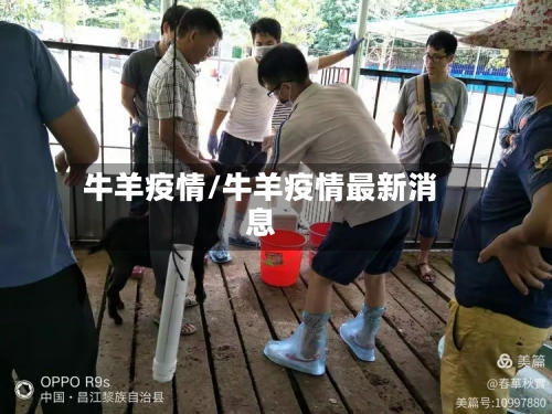 牛羊疫情/牛羊疫情最新消息