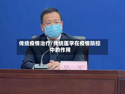 传统疫情治疗/传统医学在疫情防控中的作用