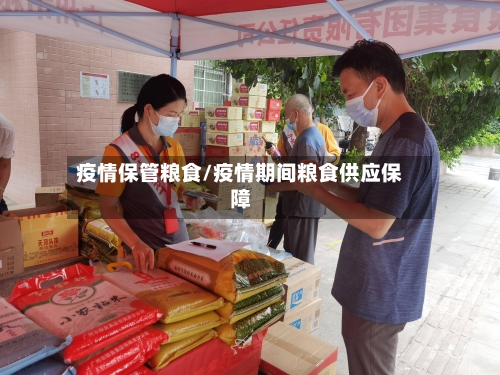 疫情保管粮食/疫情期间粮食供应保障