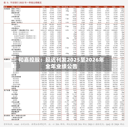 和嘉控股：延迟刊发2025至2026年全年业绩公告