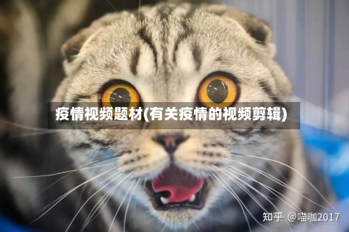 疫情视频题材(有关疫情的视频剪辑)