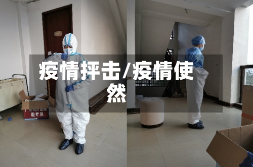 疫情抨击/疫情使然