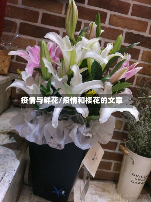 疫情与鲜花/疫情和樱花的文章