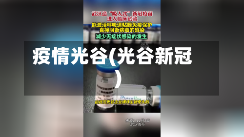 疫情光谷(光谷新冠)