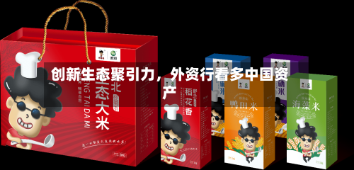 创新生态聚引力,外资行看多中国资产