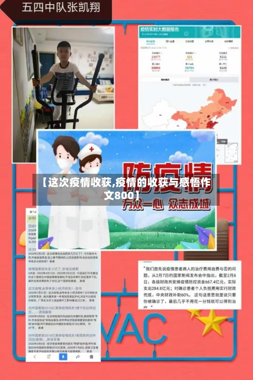 【这次疫情收获,疫情的收获与感悟作文800】