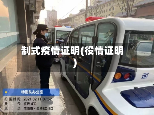 制式疫情证明(役情证明)
