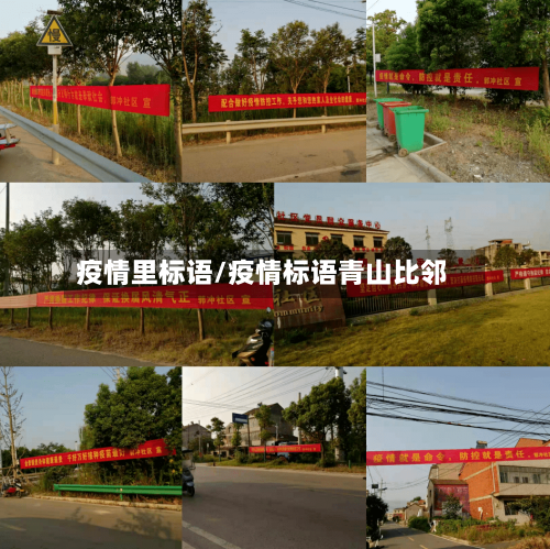 疫情里标语/疫情标语青山比邻