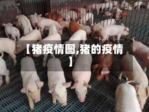 【猪疫情图,猪的疫情】