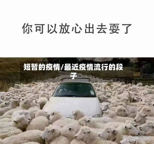 短暂的疫情/最近疫情流行的段子