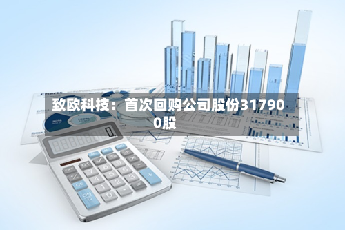 致欧科技：首次回购公司股份317900股