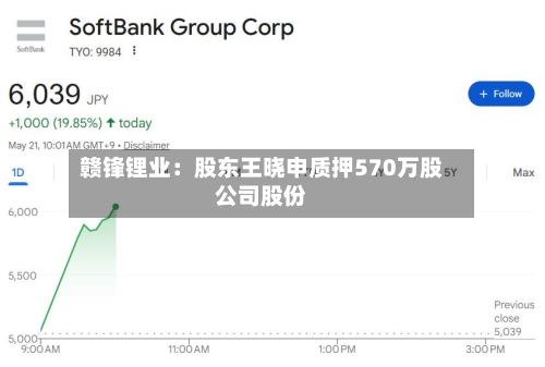 赣锋锂业：股东王晓申质押570万股公司股份