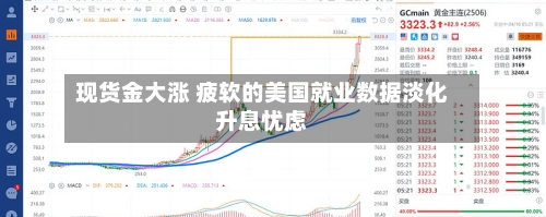现货金大涨 疲软的美国就业数据淡化升息忧虑