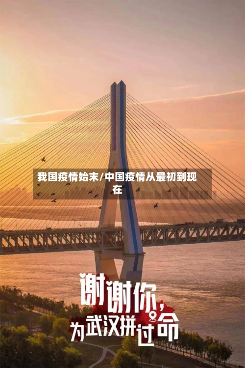 我国疫情始末/中国疫情从最初到现在