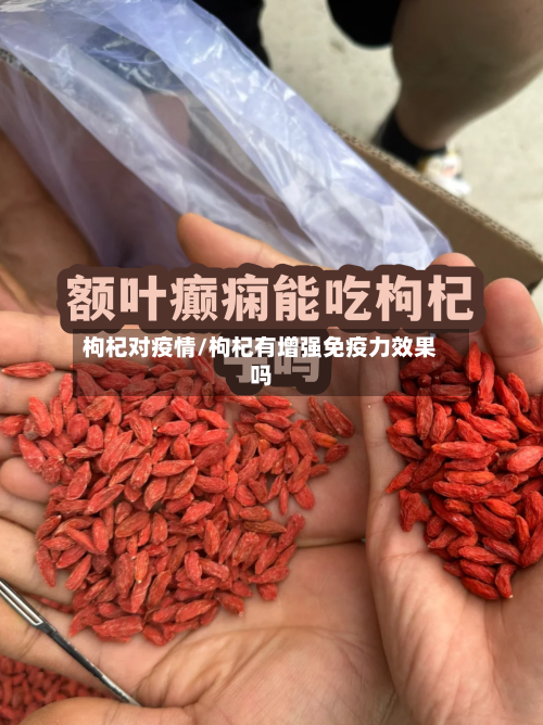 枸杞对疫情/枸杞有增强免疫力效果吗