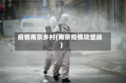 疫情南京乡村(南京疫情攻坚战)