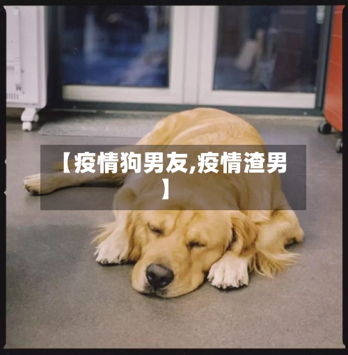【疫情狗男友,疫情渣男】