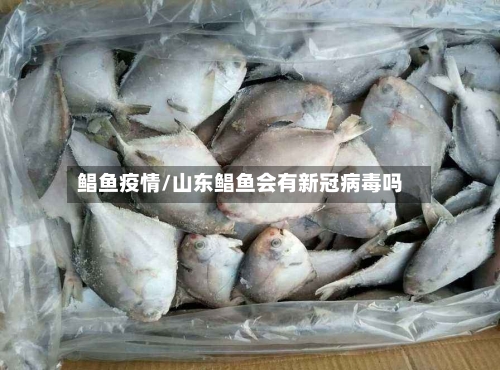 鲳鱼疫情/山东鲳鱼会有新冠病毒吗