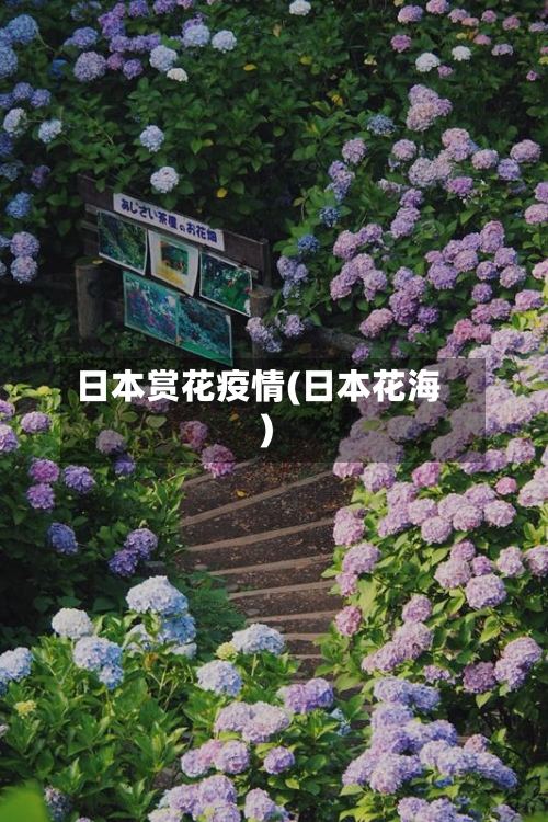 日本赏花疫情(日本花海)