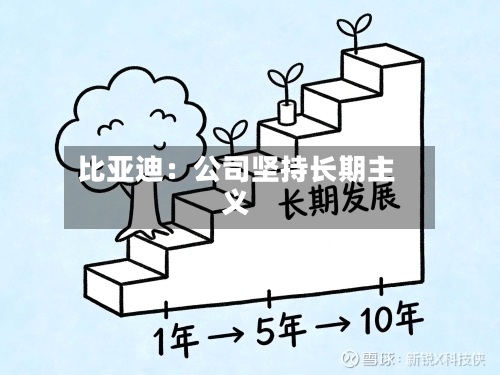 比亚迪:公司坚持长期主义