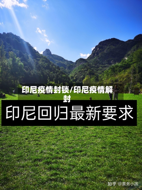印尼疫情封锁/印尼疫情解封