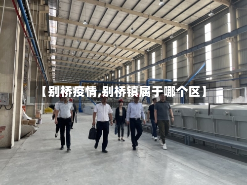 【别桥疫情,别桥镇属于哪个区】