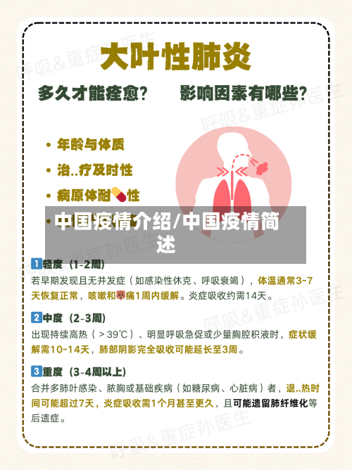 中国疫情介绍/中国疫情简述