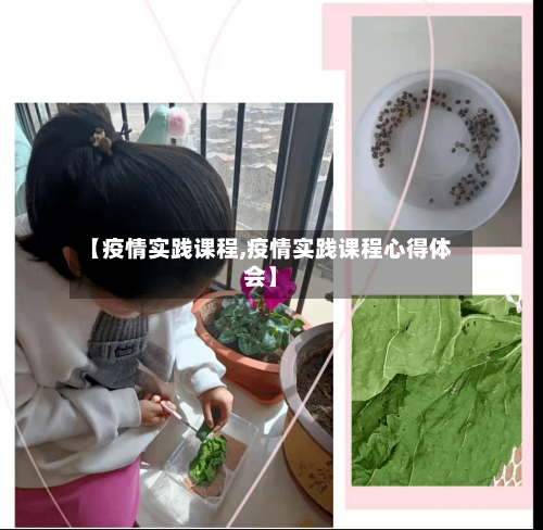 【疫情实践课程,疫情实践课程心得体会】