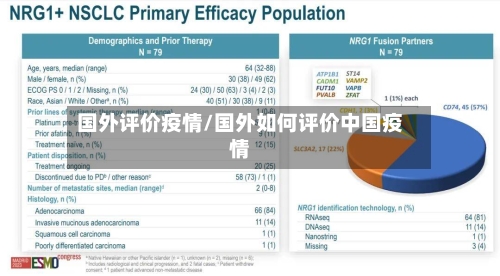 国外评价疫情/国外如何评价中国疫情