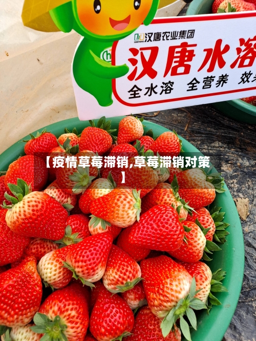 【疫情草莓滞销,草莓滞销对策】