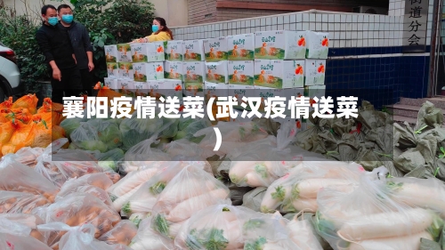 襄阳疫情送菜(武汉疫情送菜)