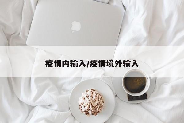 疫情内输入/疫情境外输入