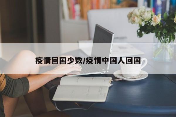 疫情回国少数/疫情中国人回国