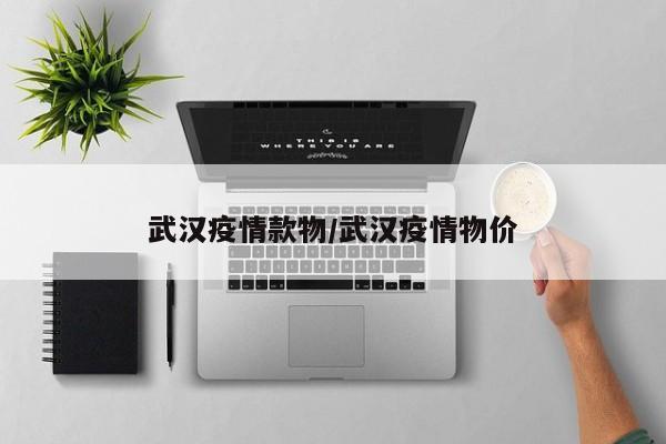 武汉疫情款物/武汉疫情物价