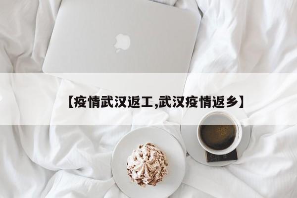 【疫情武汉返工,武汉疫情返乡】