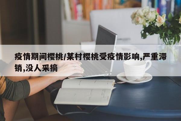 疫情期间樱桃/某村樱桃受疫情影响,严重滞销,没人采摘