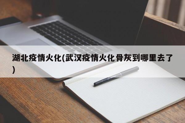 湖北疫情火化(武汉疫情火化骨灰到哪里去了)
