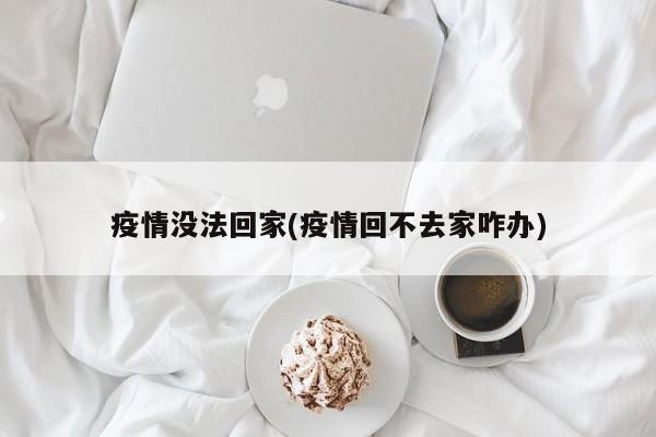 疫情没法回家(疫情回不去家咋办)