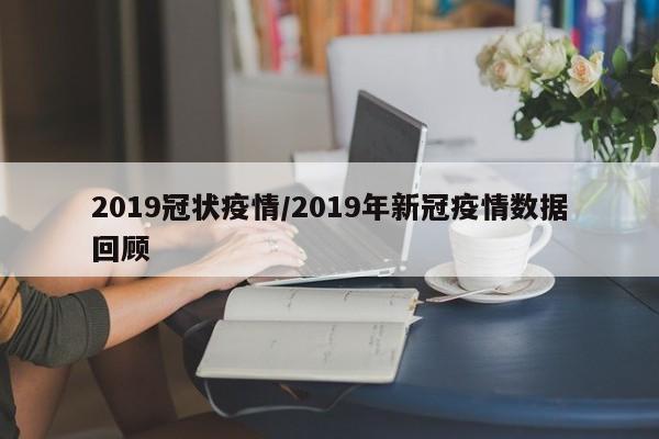 2019冠状疫情/2019年新冠疫情数据回顾